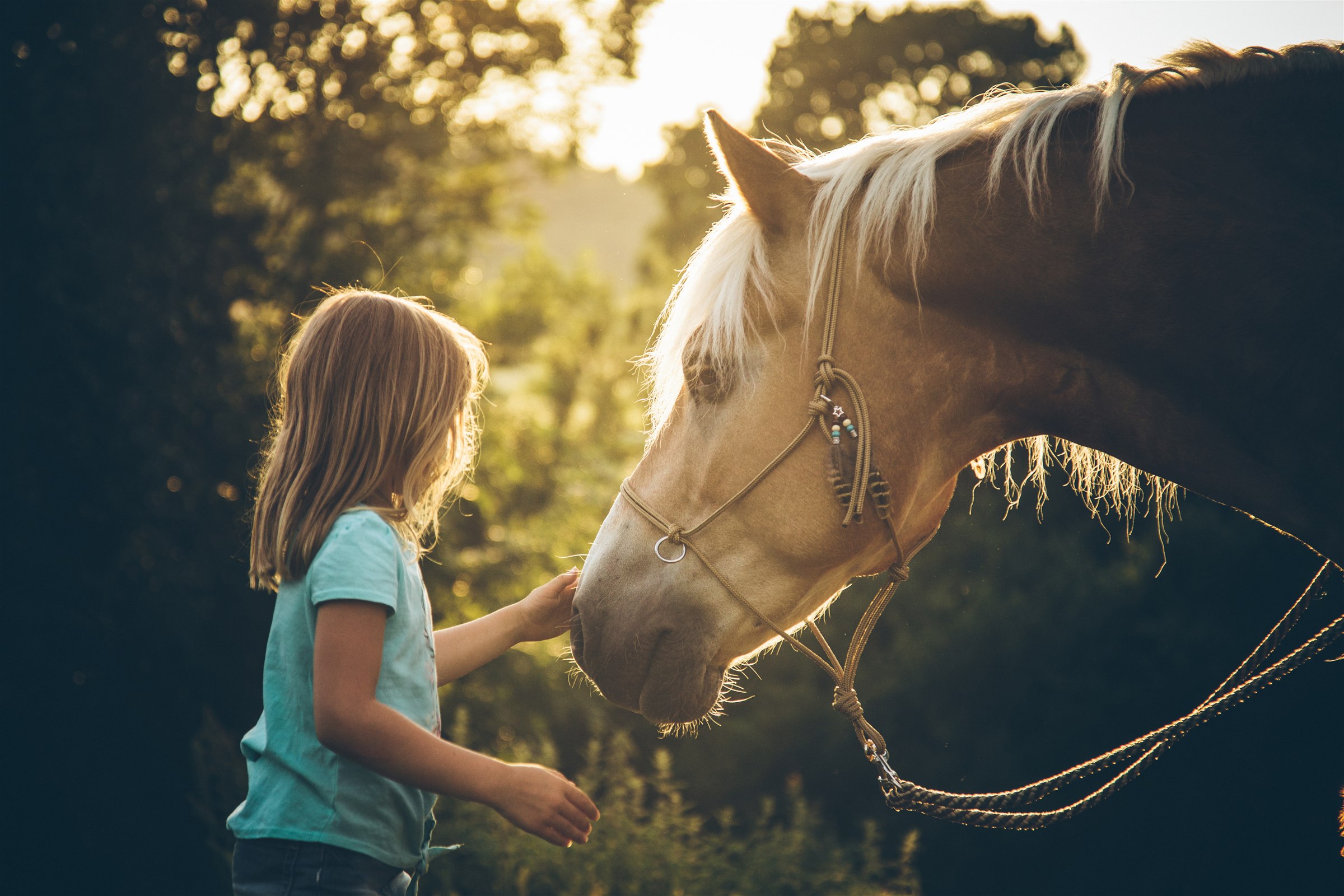 Kind mit Pony beim Reitunterricht
